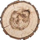 Northern Pine